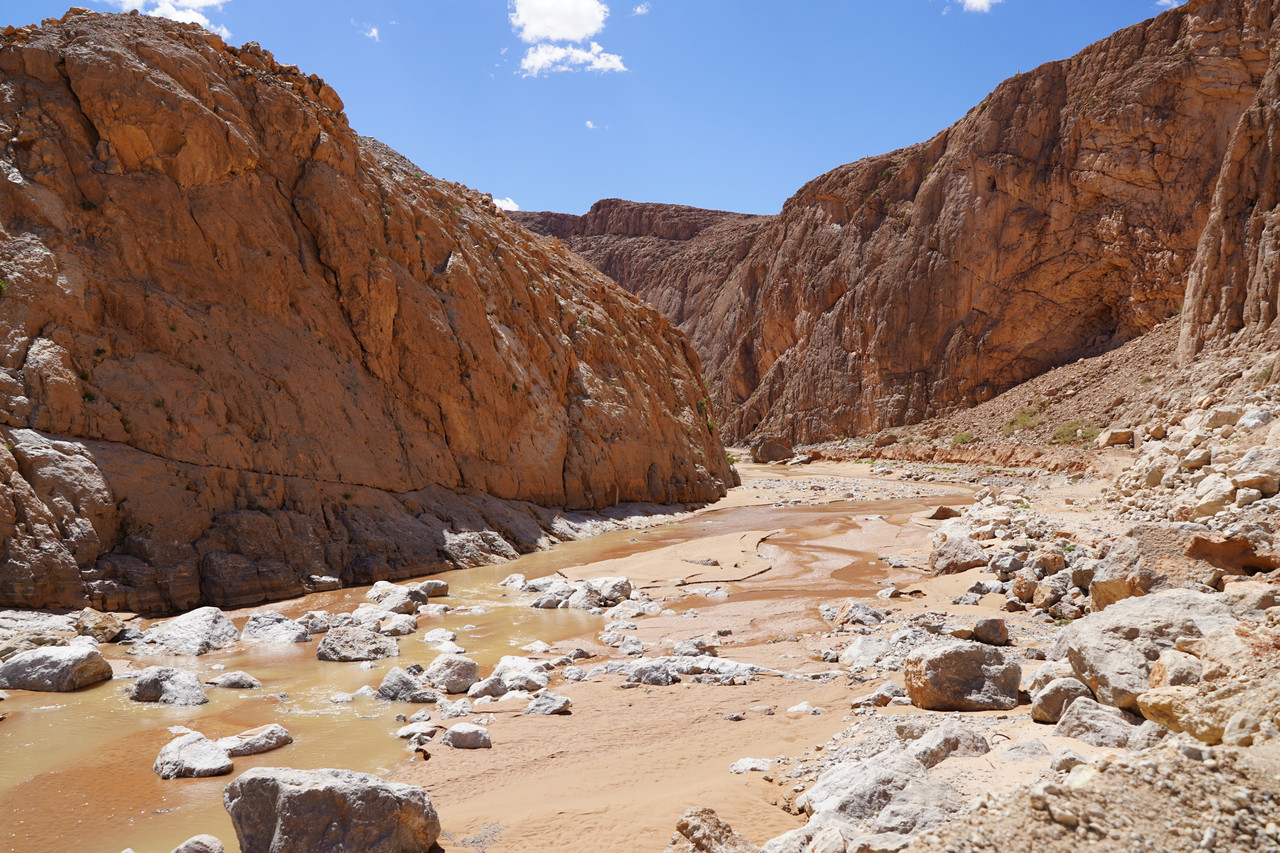 32TZN56QQVDP3GKRQUT654J5EE