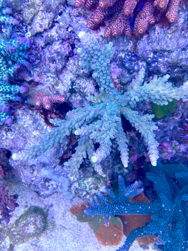 752C1C67-DE5B-4DA4-8BB6-CBF3666B5890