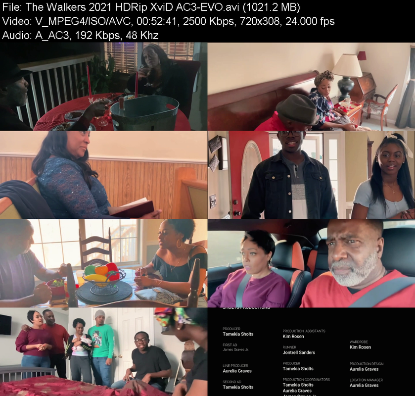 the-walkers-2021-hdrip-xvid-ac3-evo.png