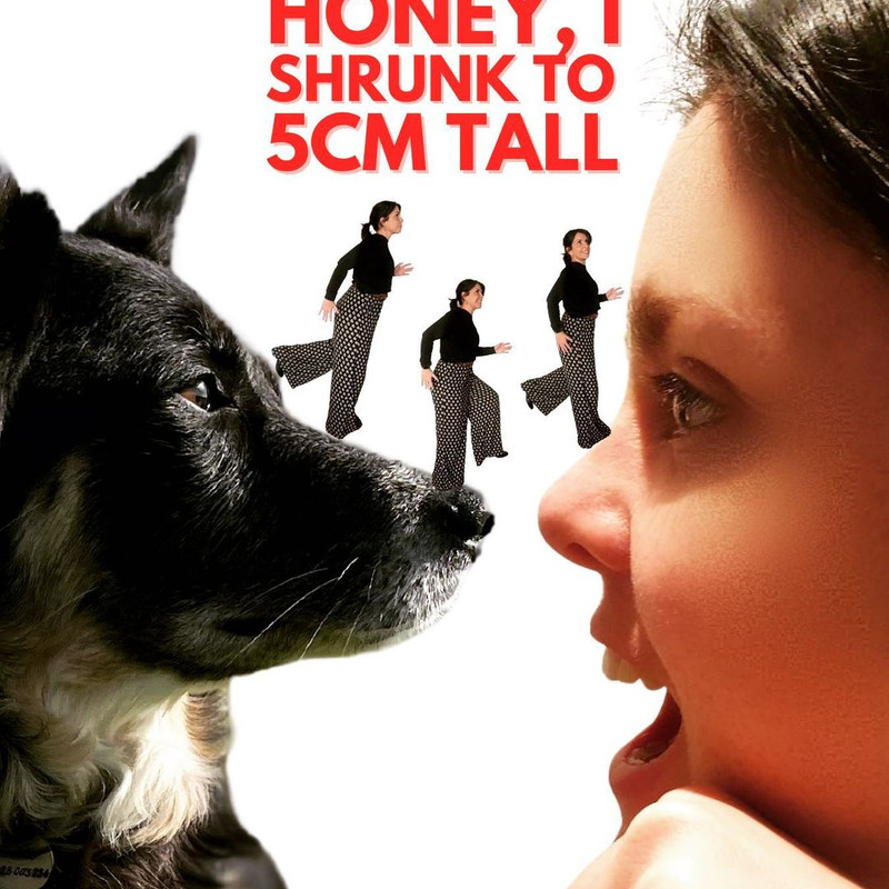 6D744311-4F48-46ED-8810-42C30354DEF3