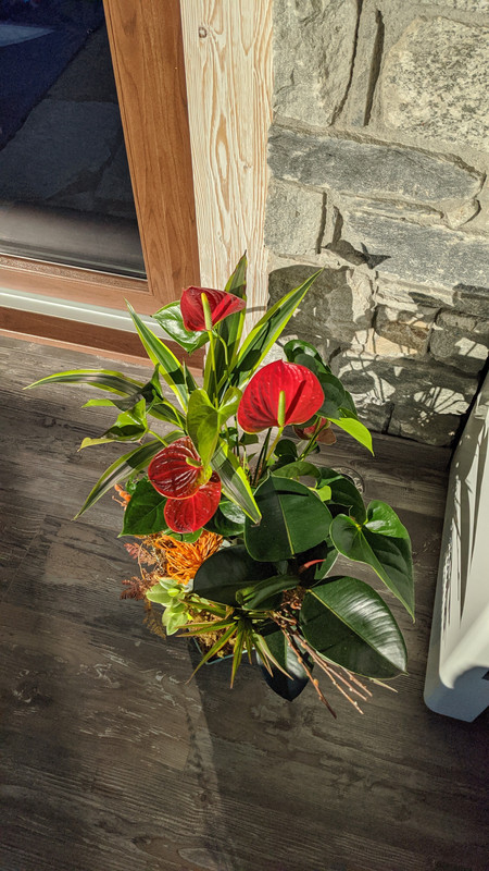 IMG-20191026-094212.jpg