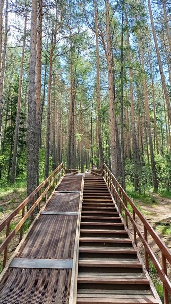 Сибирские просторы: Новосибирск - Томск - Красноярск (июнь 2026)