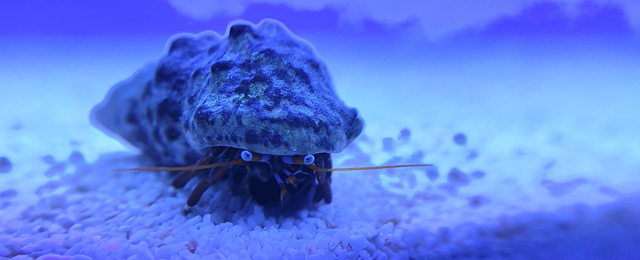 1270CCA8-07E0-4F09-AB1A-C0AE772CD705