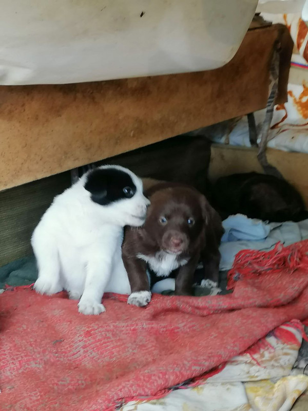 IMG-4cbae8b86eb962cf98f031f52ed0d6cc-V