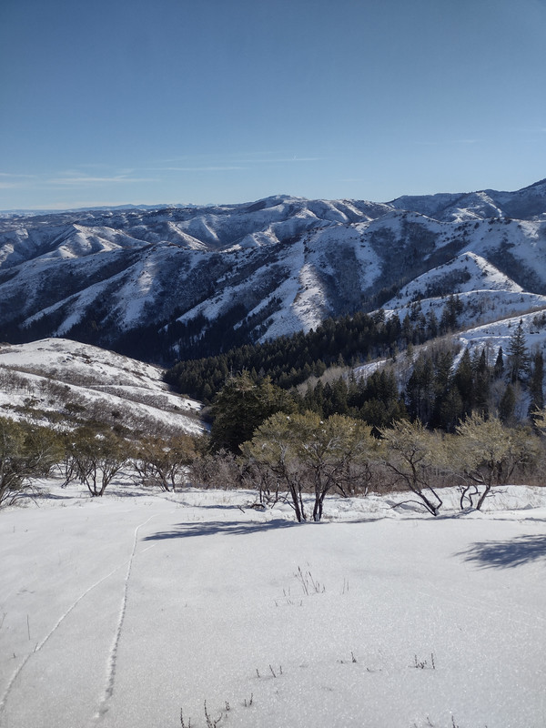 IMG_20231205_101159872_HDR
