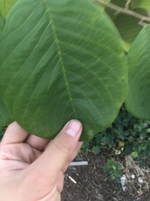 D293DC4B-D4C2-42F8-983B-D41434A18E52