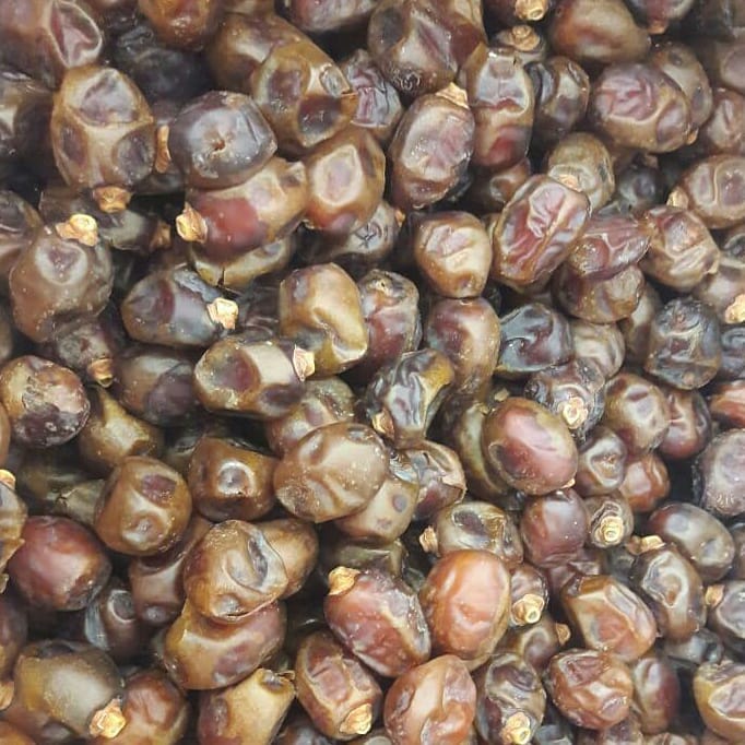Kurma Barhi