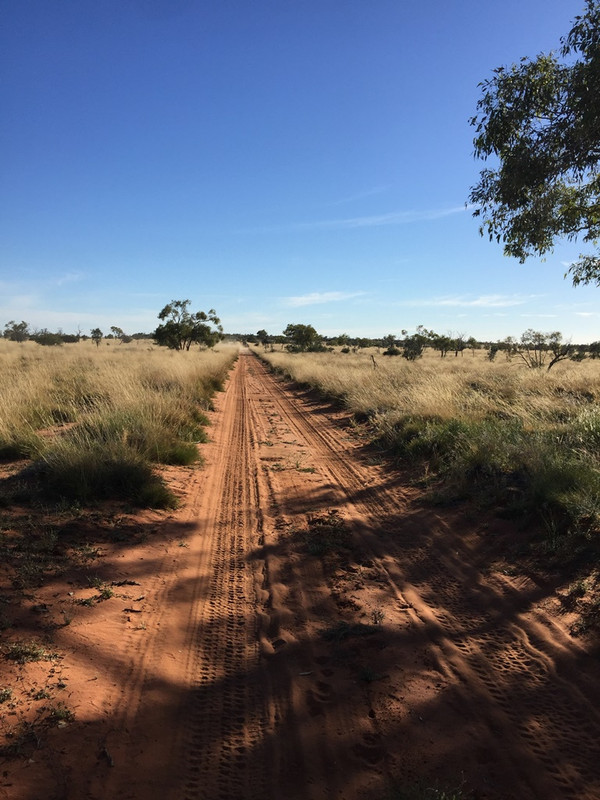 2019-Madigan-Line-Simpson-Desert-TRIP-2796.jpg