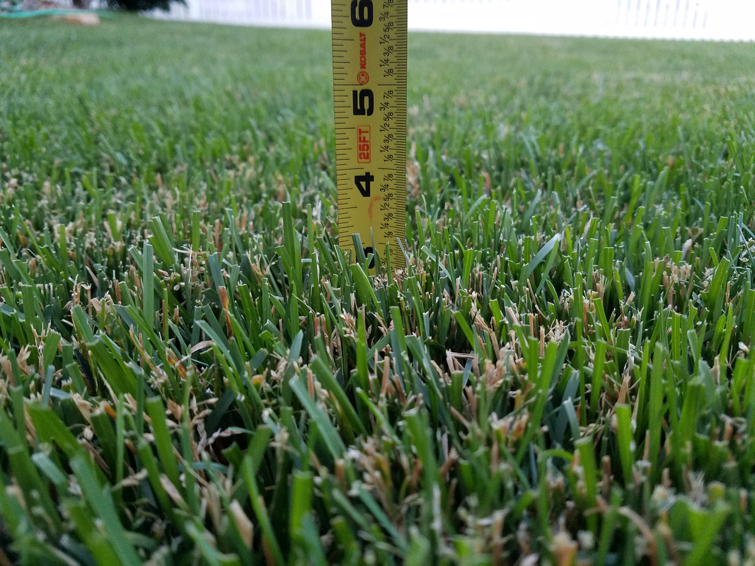 JPEG_20180609_202203