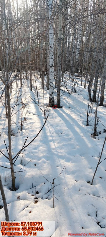 photo 2026 03 31 15 41 14