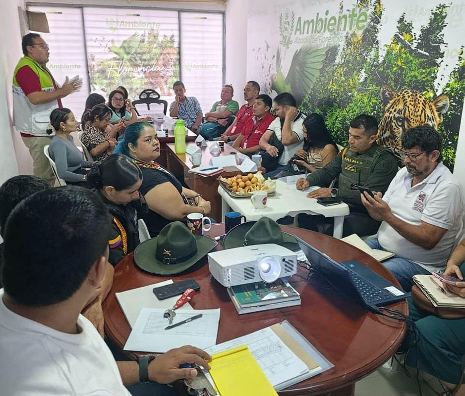 Imagen 01
