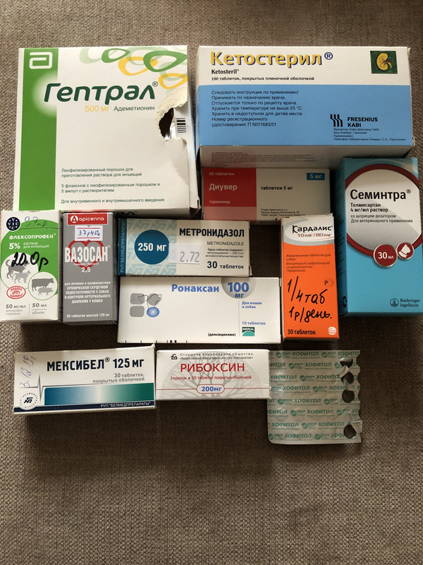 8042BB76-7A4D-4696-9066-725BD0E6CF18