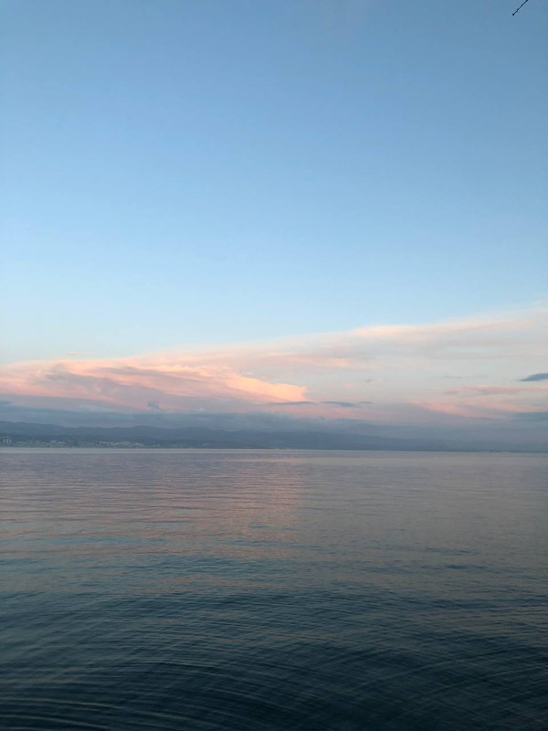 photo_2025-01-29_18-35-38 (2)