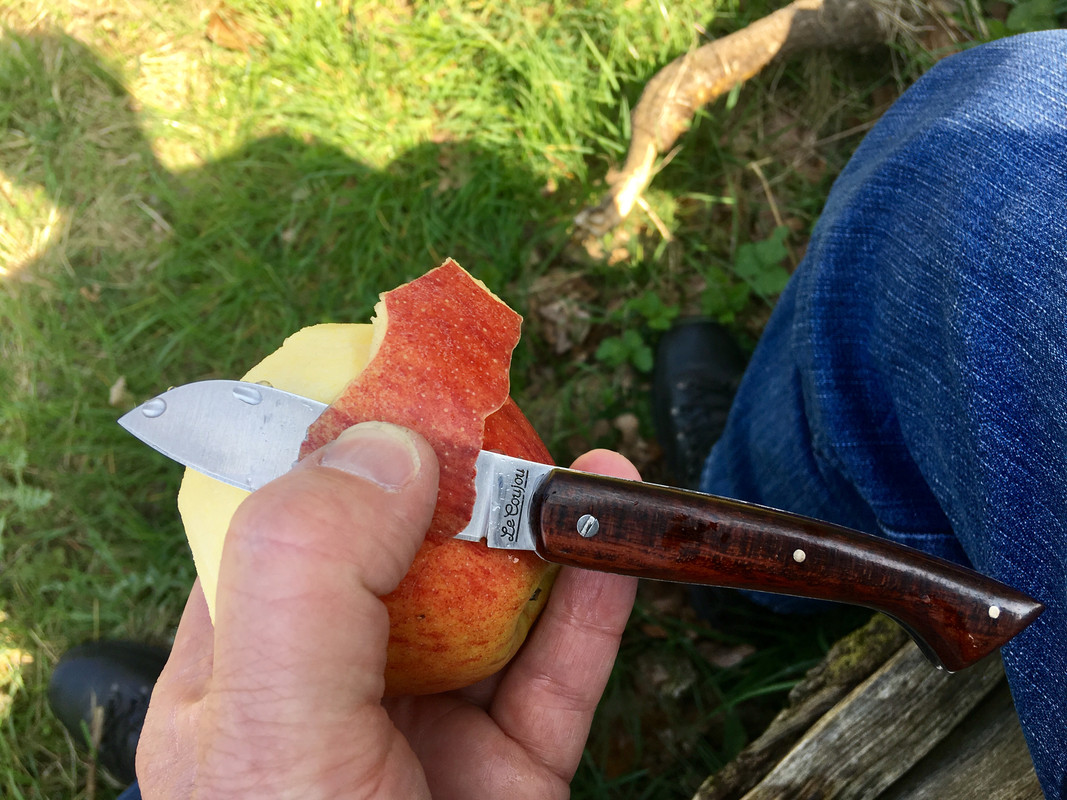 902ECF20-26F8-4553-8C00-1CAF30818779