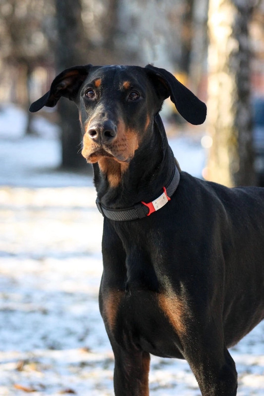 8F2E38F9-32B2-45E6-ACF8-79CC2552E367