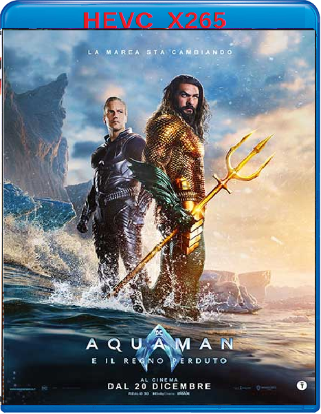 Aquaman e il regno perduto (2023) mkv FullHD 1080p HEVC AC3 ITA ENG Sub