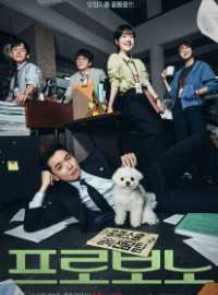 Luật Sư Công Ích