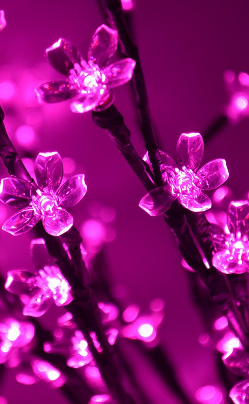 magentacrystalflowers.jpg
