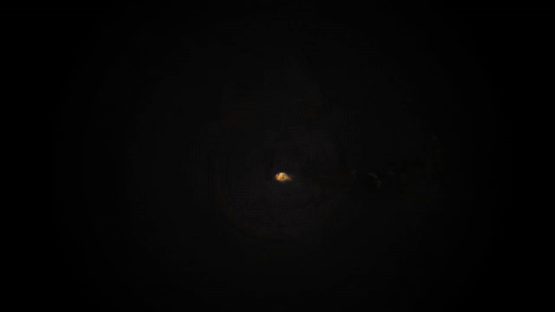 ava9.gif