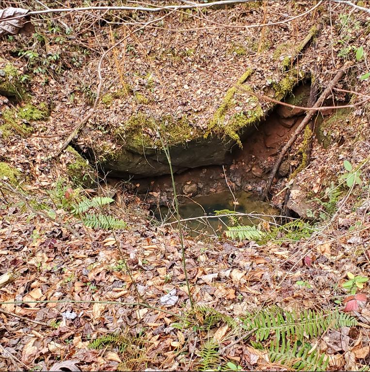 [Image: 20251226Laurel_Creek_Corundum_Mine122101.jpg]