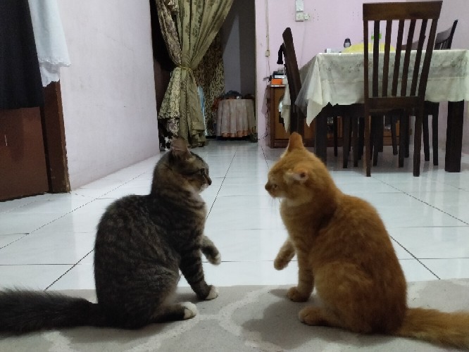 25636e3b04560bb3575cb0b22c4d1c7d