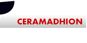 CER Change Name