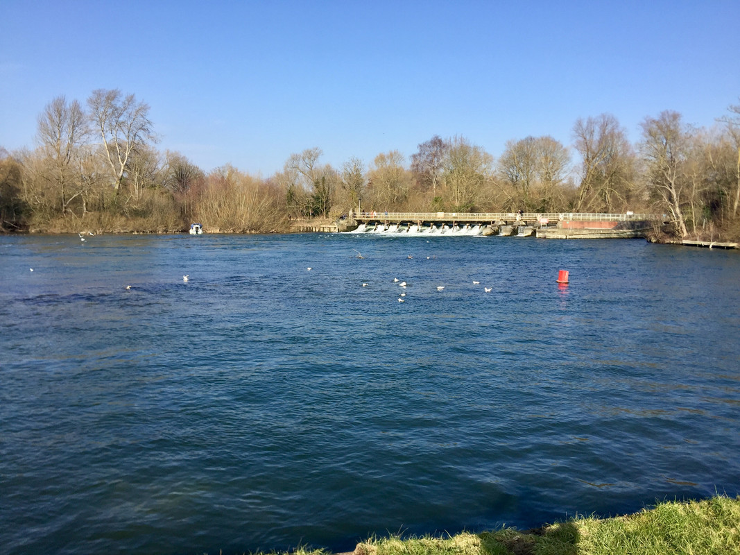 EDE90EF8-E8AD-4B93-B65F-803AD9802379