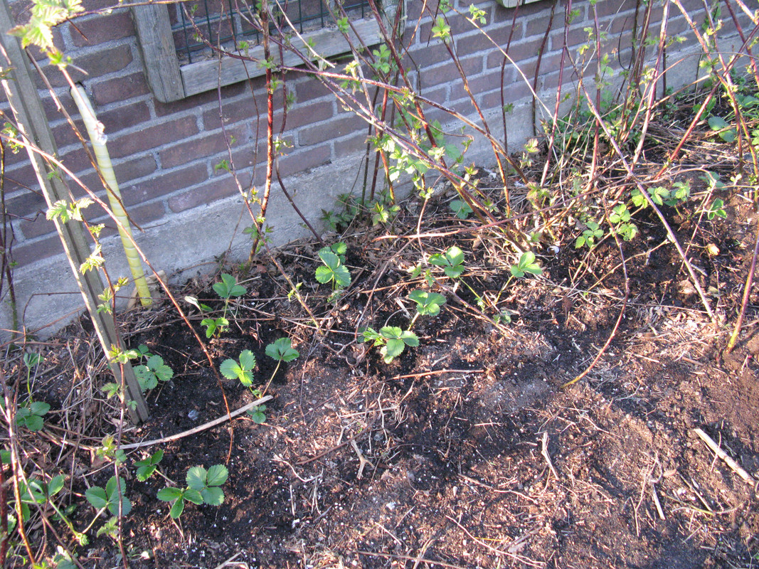 IMG-1421.jpg