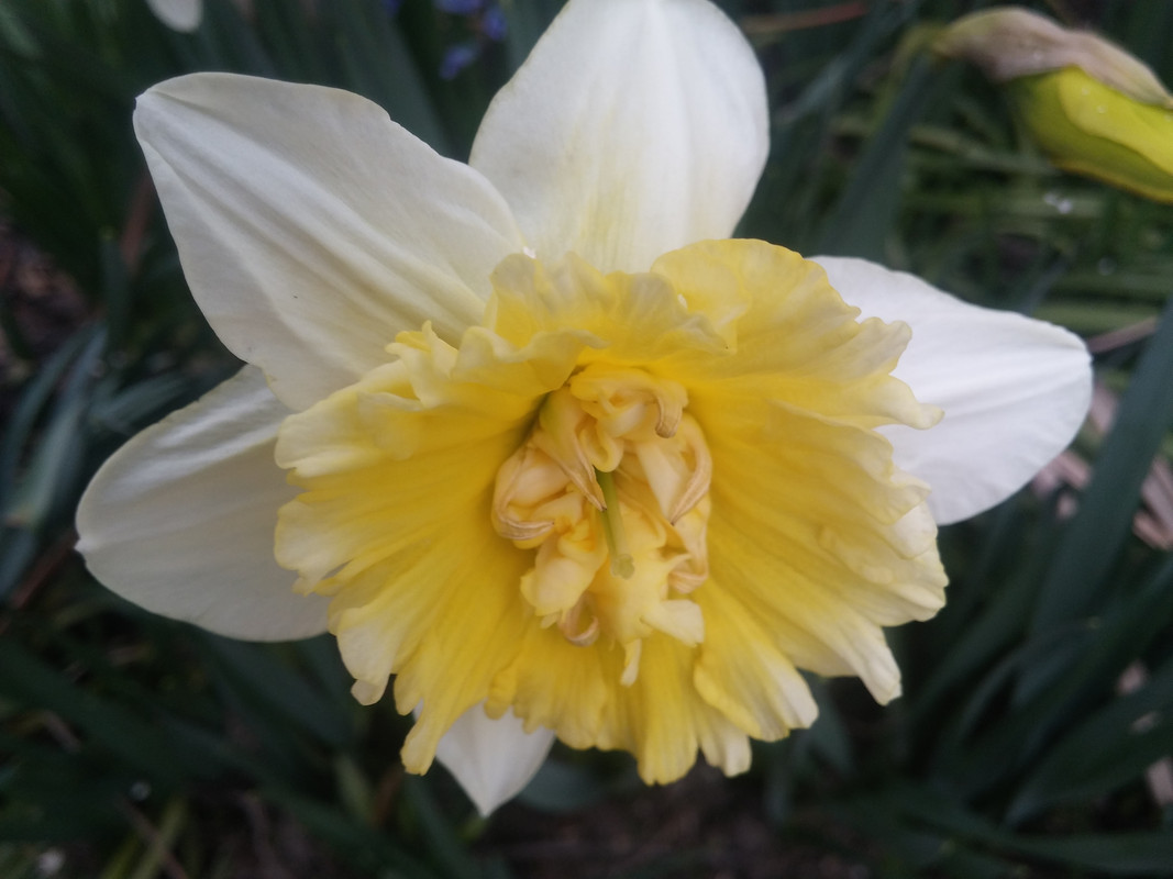 20190302_165504
