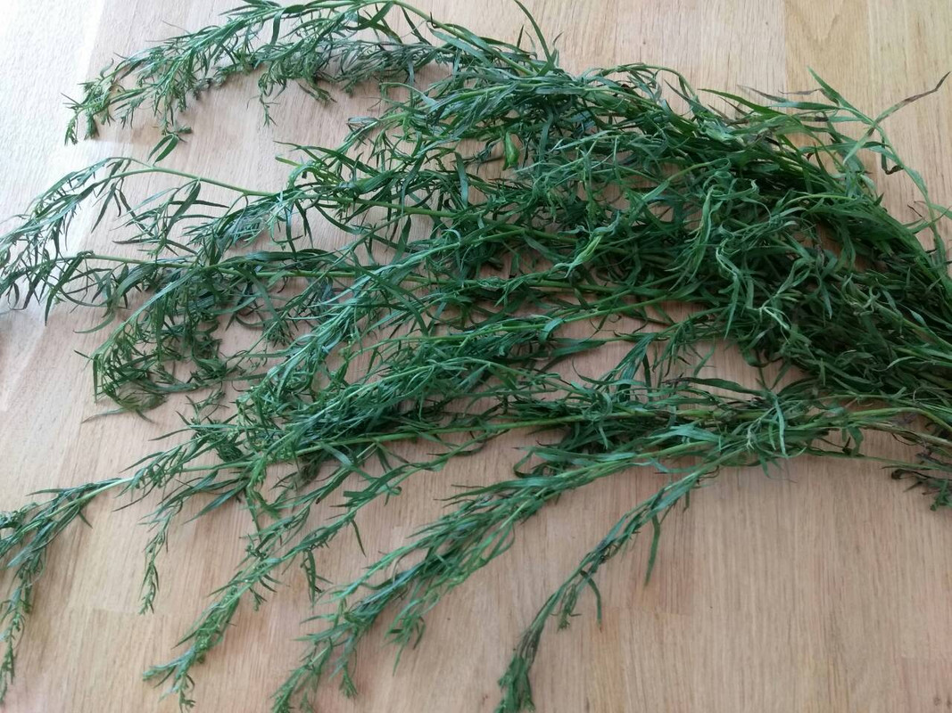 0-02-05-cae02ac5f166af93870b16d1970cb36ff2762ea2b5627103ddf70f0d