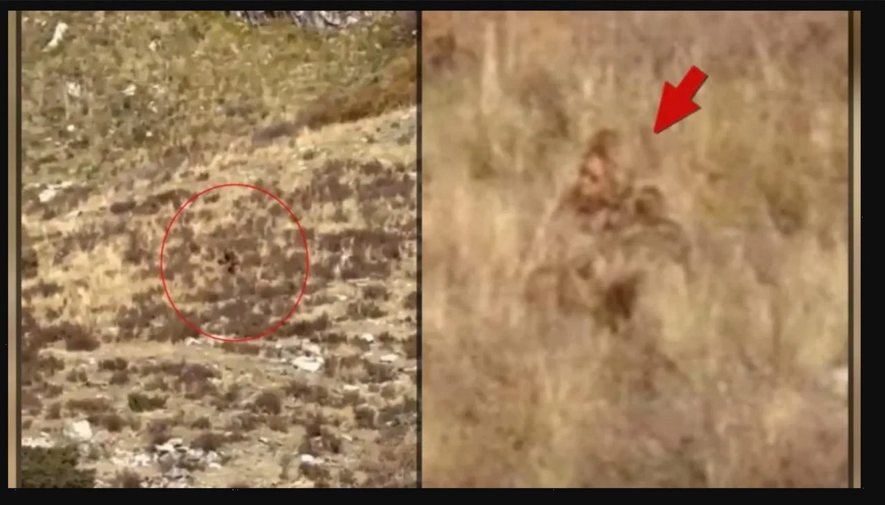 Turistas afirman que capturaron evidencia de