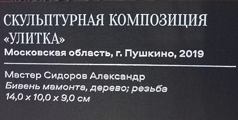 https://i.postimg.cc/hPjjzxgt/299-IMG-20241031-114244.jpg