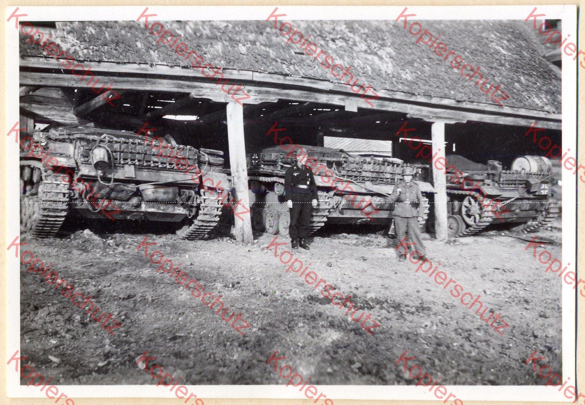 Panzer Sturmgeschütz Stug.Abtl.202 Kommandeur 3 