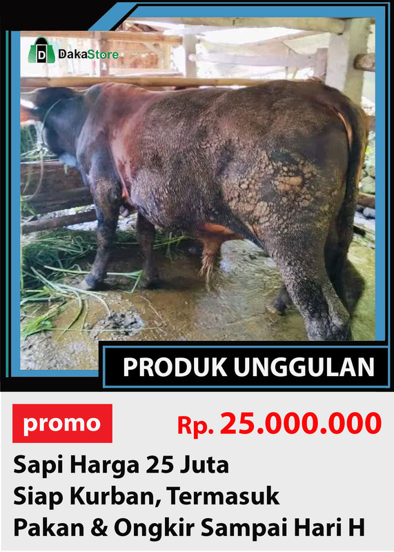 SAPI 25JT
