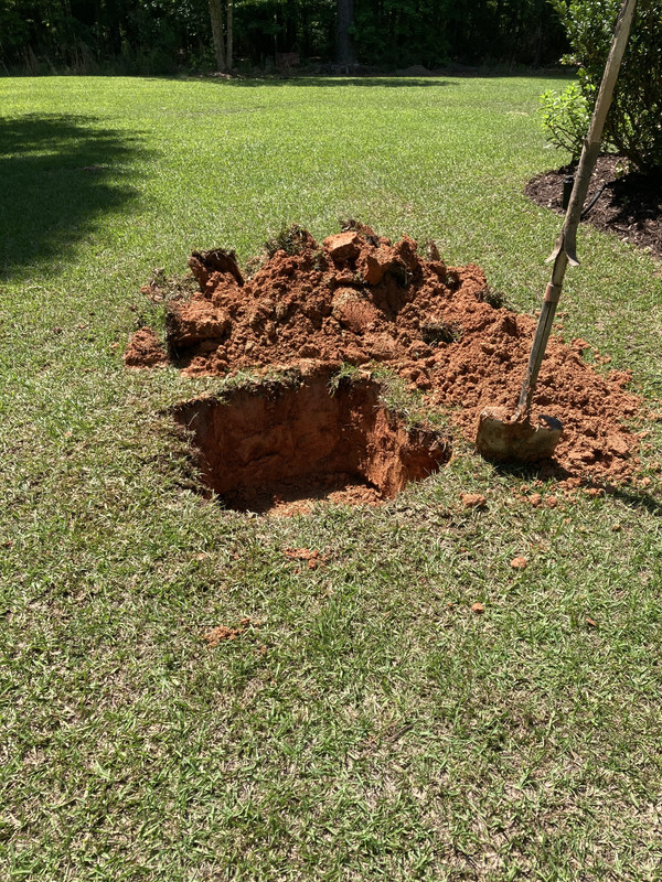 531ABB69-36DD-4206-AAA1-EC79854C5E3E