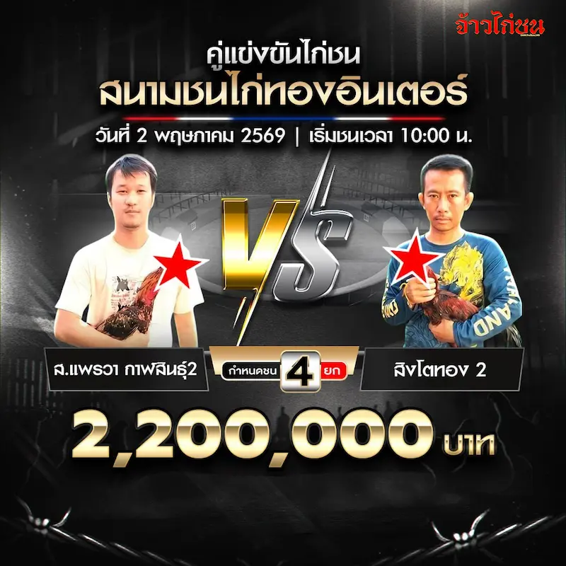 ส.แพรวา กาฬสินธุ์ 2 พบ สิงโตทอง 2 สนามชนไก่ทองอินเตอร์ 2 พฤษภาคม 2569