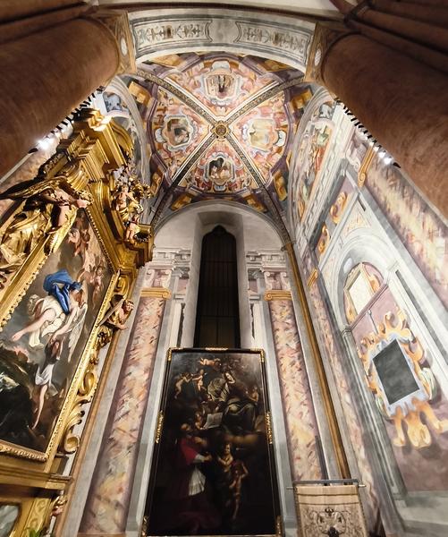 Milán-Turín-Génova-Pavía - Blogs de Italia - Pavía: la famosa batalla y sus torres medievales (15)