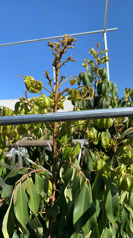 E092DFA9-1540-4E6D-9D33-CEF7F47BEFC5