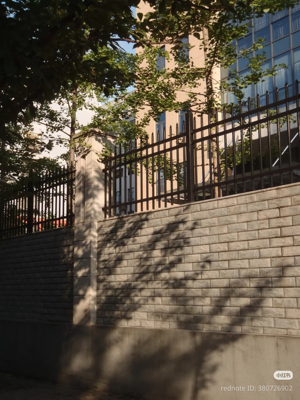 photo 8 2025 12 14 22 09 36