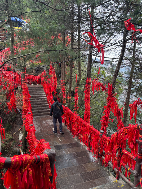 Día 7: PN Zhangjiajie -> Yuanjiajie, Yangjiajie y Tianzi - Disfrutando de China por libre en 18 días (Marzo 2026) (4)