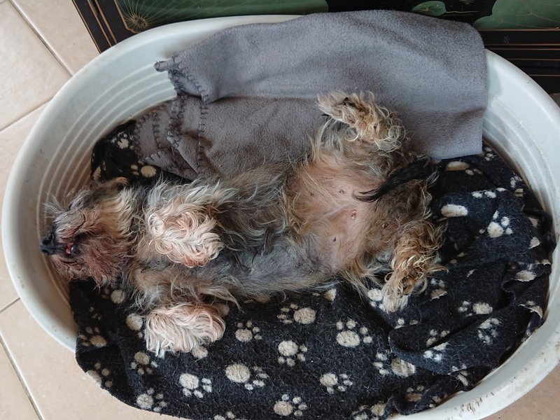 [Image: DSC-2538.jpg]