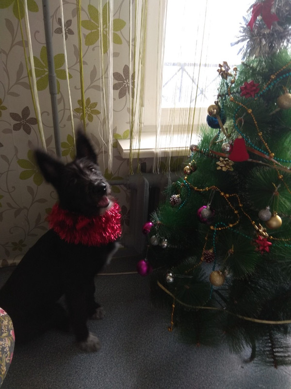 CD1E8D3D-0F70-4DFC-B5A2-069D5BEA9C7E