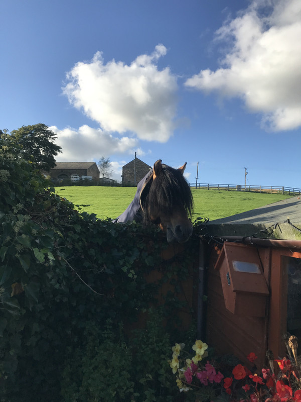 65D7EBE4-051E-4450-A33B-C626B2664F05