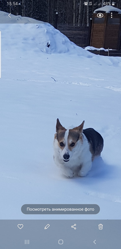 Screenshot_20230401-155451_Gallery