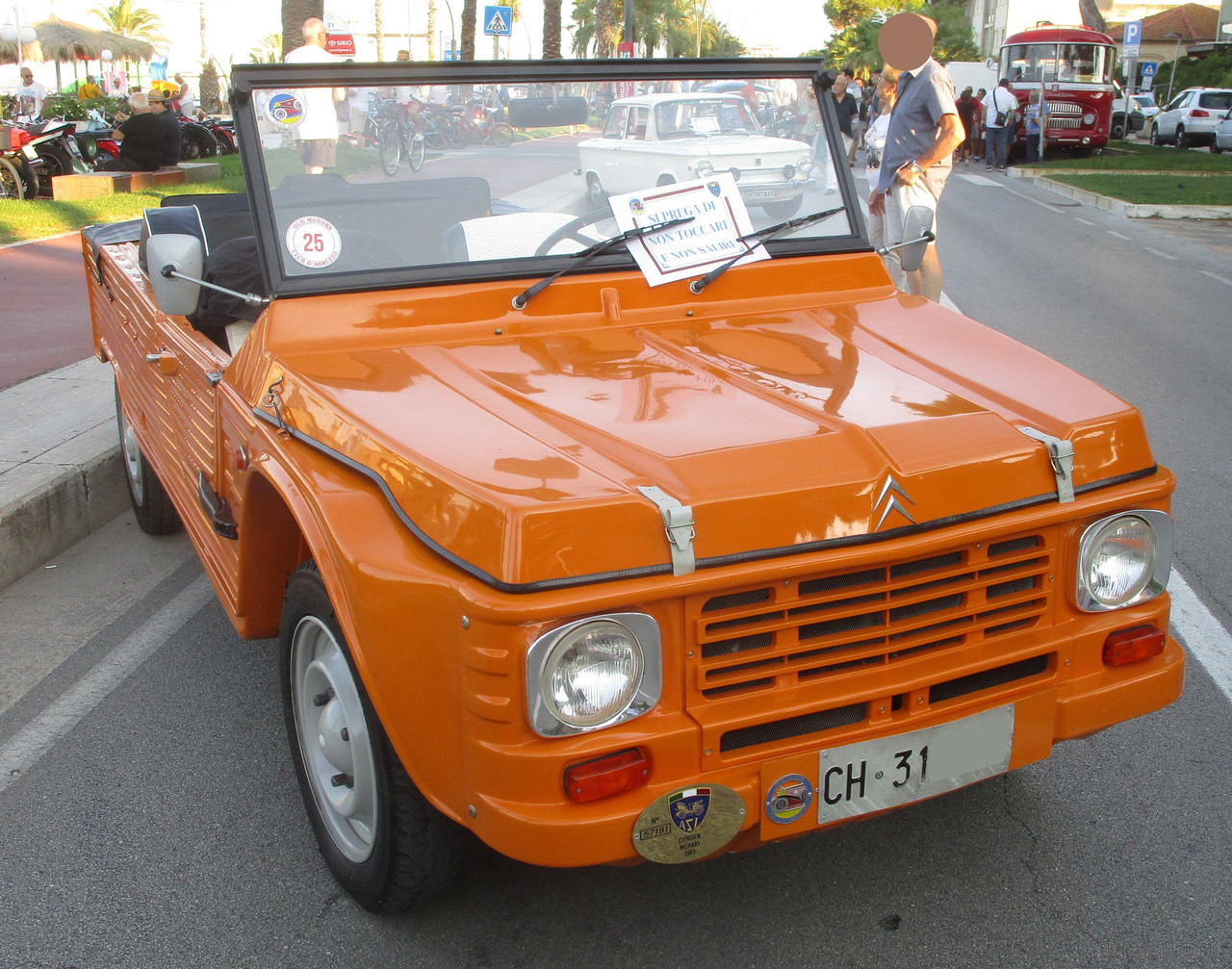 IMG-8981.jpg