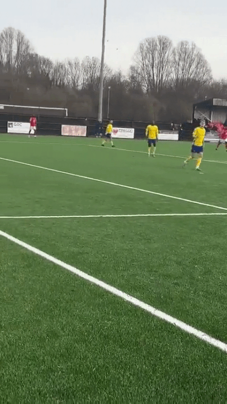 RDT_20240217_131040_1