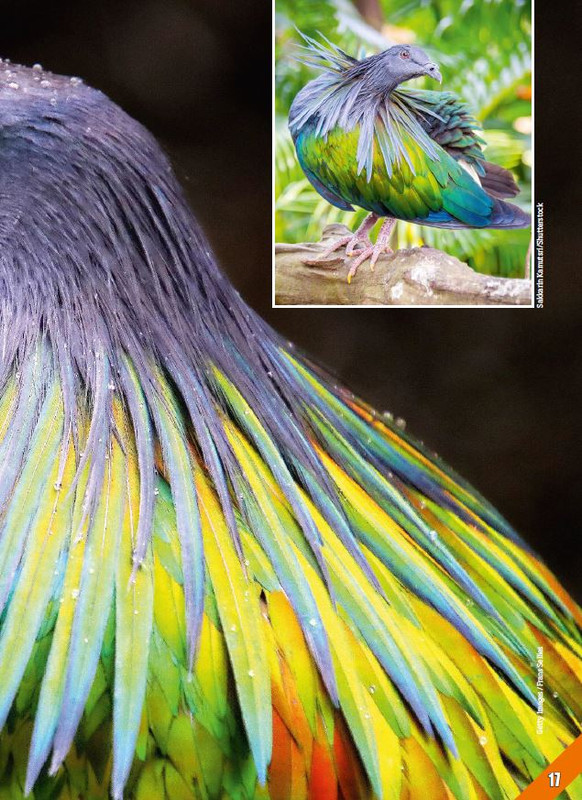 Foc Wil - Apr 2023 (12)