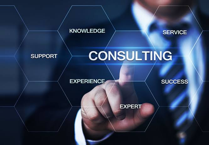 Consultant and client discussing a business plan