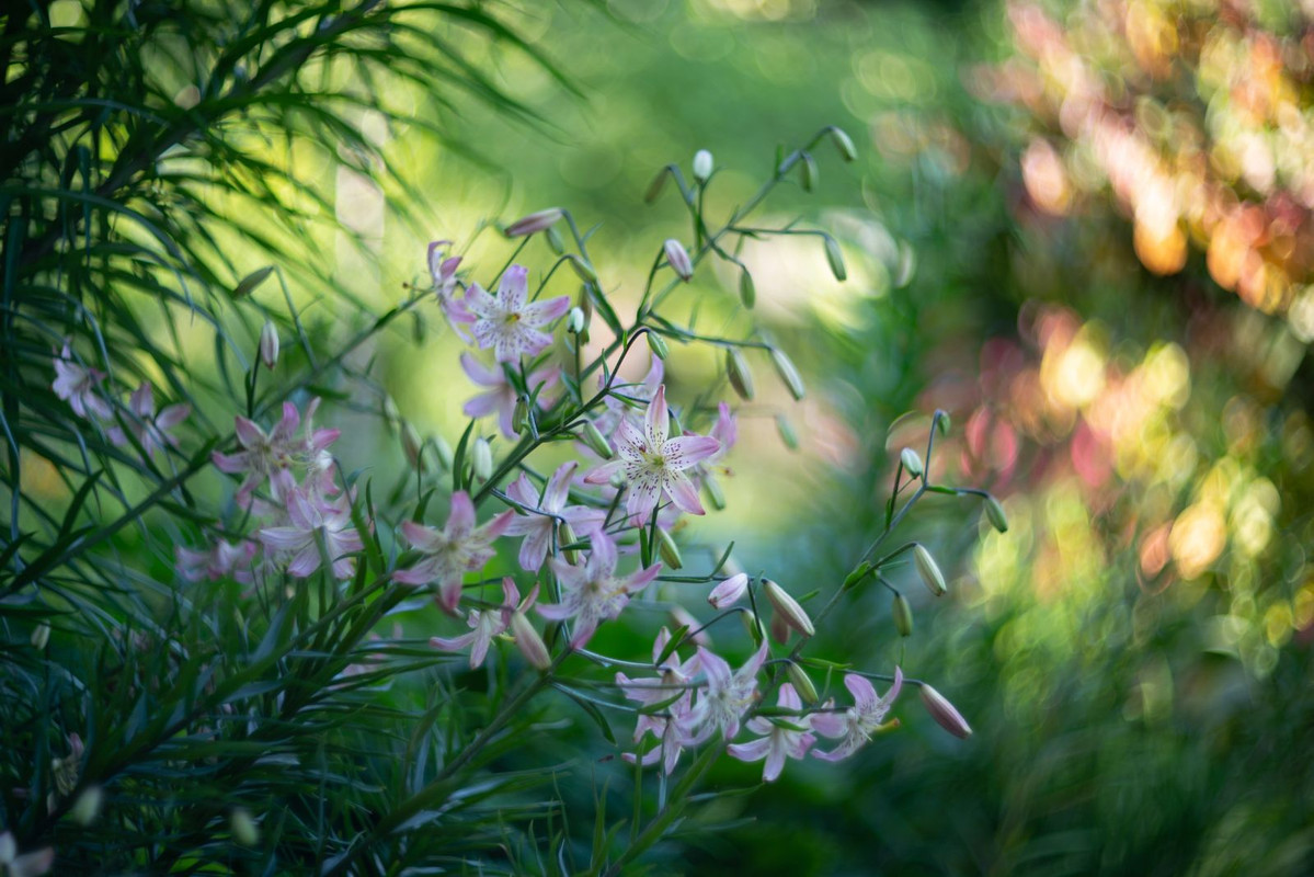 IMG-0829ec3d19d75048a9a93cbbb6f3c03b-V
