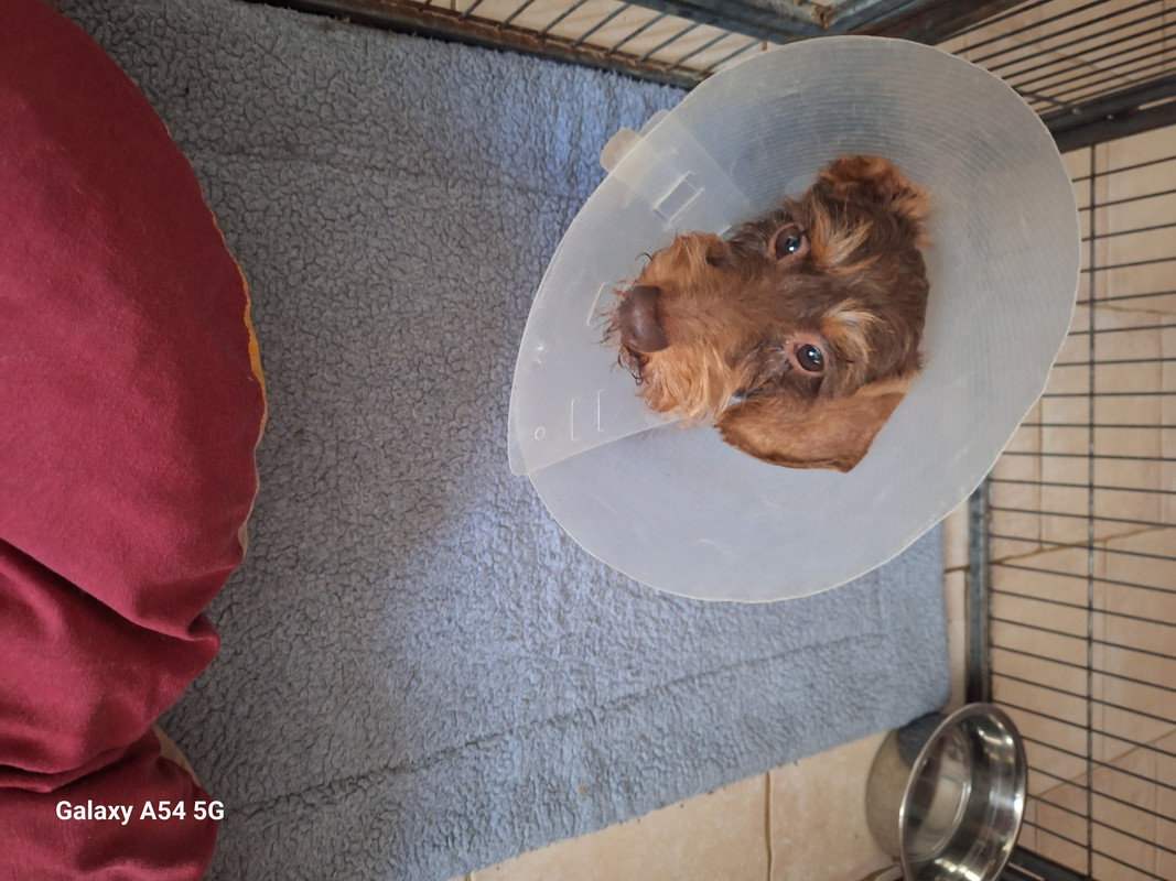 [Image: 20240710-105024.jpg]